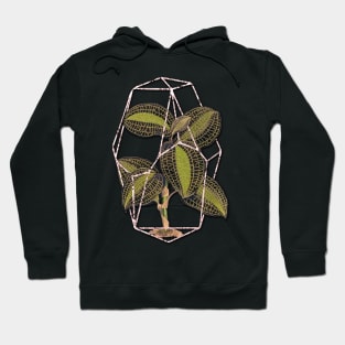 Jewel orchid Geometric terrarium Hoodie